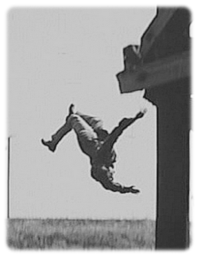 covbk2 - Dive